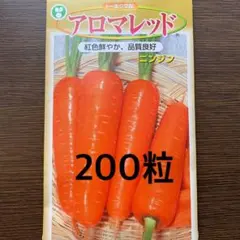 Hide様 リクエスト 2点 まとめ商品