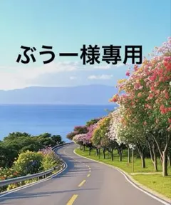 ぶうー様專用（150）