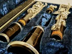 Item thumbnail for item e822b19f-77ca-4c71-a0ed-0b961327b36b