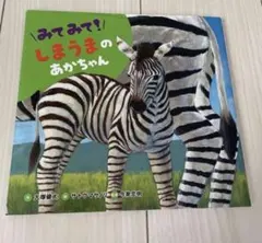 Item thumbnail for item 0aa9872f-5a5a-4085-b074-b8e92840a031