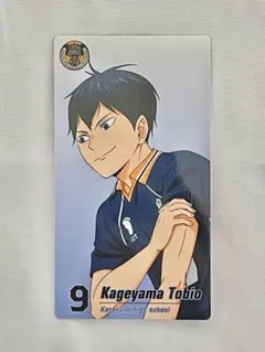 劇場版ハイキュー！！展ゴミ捨て場の決戦トレーディングチケット風カード　影山飛雄