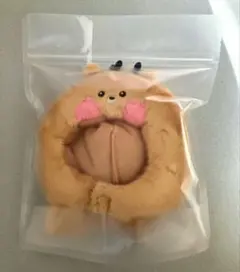 RIIZE ソンチャン ペンライトカバー