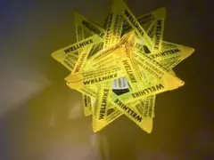 Item thumbnail for item 9039cf6a-ee6b-4c9f-941e-865a1b70a7aa