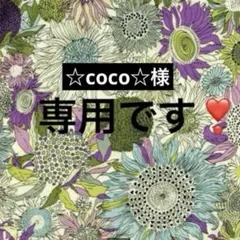 ☆coco☆様専用です❣️