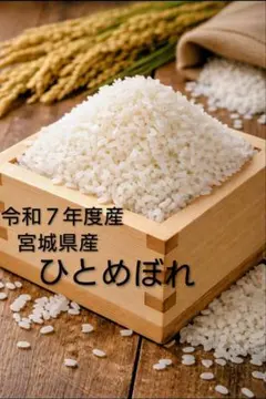北海道産 ゆきさやか 精米 10kg 令和7年産 - メルカリ