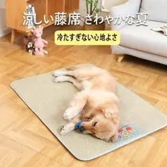 ペット用 クールマット 籐席風 75x60cm 犬猫 接触冷感 洗える 滑り止めのサムネイル