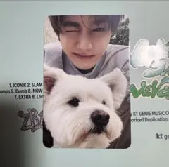 ZB1 ゼベワン 封入 犬 レオ トレカ ジャンハオ