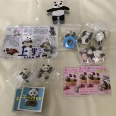 すくすくジャイアントパンダ 第2段 アクスタ コンプリート+2個 11点 