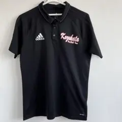 Item thumbnail for item 30d2dc65-608e-4436-bd32-31f26abbaa65