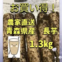 お買い得！！　農家直送 青森県産 長芋 　　スタミナup☆のサムネイル