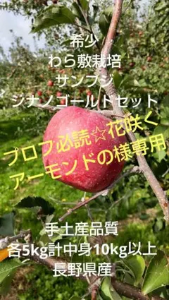 プロフ必読☆花咲くアーモンドの様用サンフジ、シナノゴールド手土産品質10kg以上