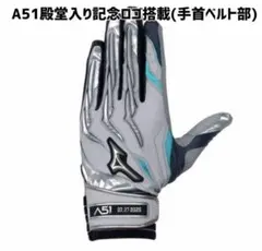 ミズノプロ　イチロー殿堂入り記念バッティンググローブ両手用　25cm グレー