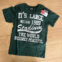 Item thumbnail for item 2d261689-5713-485c-b85e-4db24df1967f