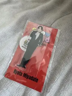 Snow World アクスタ　宮舘涼太