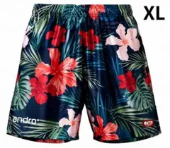 新品 ANDRO フルデザインショーツ Eタイプ XL