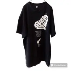 ALSTYLE アルスタイル 【M】カットソー ユニセックス プリント 美品