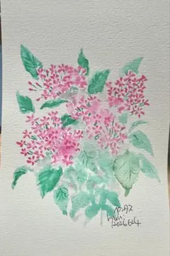 【　ペンタス　】水彩画 ポストカード　ハガキサイズ　原画　一点もののサムネイル