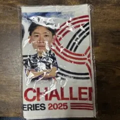 Item thumbnail for item a31c198a-cf48-421f-bd3d-d06258897b48