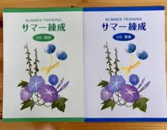 2026年最新】練成テキスト 算数の人気アイテム - メルカリ