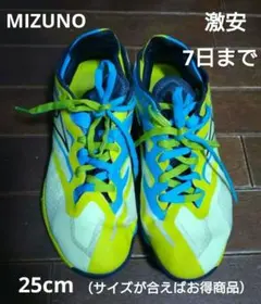 卓球シューズ　ウエーブメダル ネオ