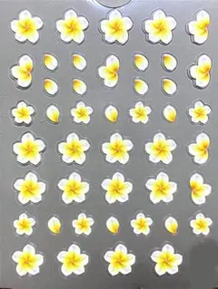 プルメリア　ネイル　シール　デコ　アート　花 夏 ハンドメイド　レジン　5D