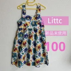 Item thumbnail for item 43fcc05f-ca6d-4833-8e2e-85e58651c4db