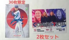 Item thumbnail for item 90f3d9bd-6325-4611-935b-5fd66b77a2b7