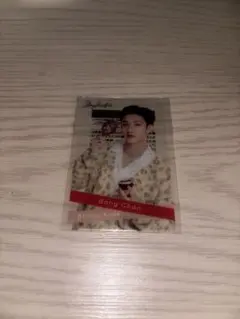 straykids スキズ　バンチャン　ファミマトレカ