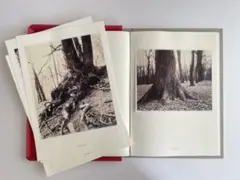 Item thumbnail for item a486caee-deb8-45d9-9b67-9b8d81c46378