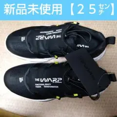 Item thumbnail for item 550211c6-4c88-445e-abe3-eaf702fd60a5