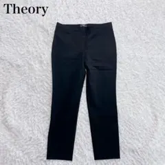 近年 Theory セオリー レザーパンツ レギンス 羊革 ラム ADBELLE