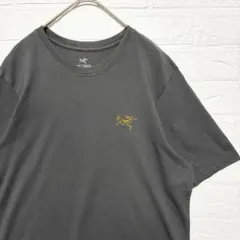 アークテリクス　Tシャツ 刺繍ロゴ　バックプリント　グレー　希少デザイン　『S』のサムネイル