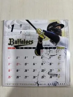 Item thumbnail for item 62e2fb22-0a95-4206-ada2-bfb849cd4fe4