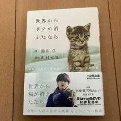 キャベツ 文学・小説