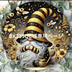 BX235QC様 リクエスト 10点 まとめ商品