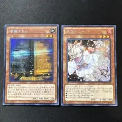 2026年最新】増殖するG TRCの人気アイテム - メルカリ