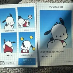 サンリオ 証明写真風スマロイドポチャッコ