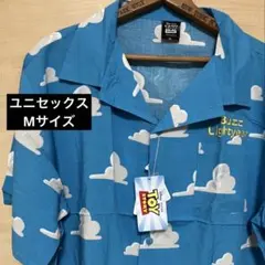 Item thumbnail for item 25b38b30-cc3c-4d19-a077-975570fa3f59