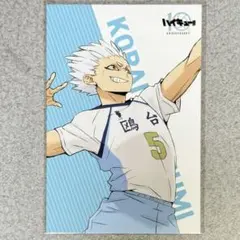 【新品未使用】ハイキュー!! 鴎台 星海光来 10th Anniversary