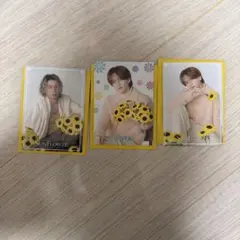 中島颯太 瀬口黎弥 フォトカードセット