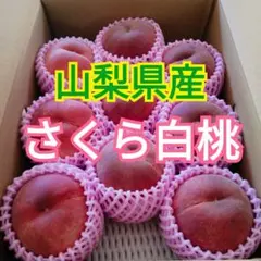 山梨県産ぶどう ゴルビー 9房入り 箱込み約5.9kg - メルカリ