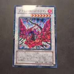 ブラックローズドラゴン 遊戯王OCG デュエルモンスターズ