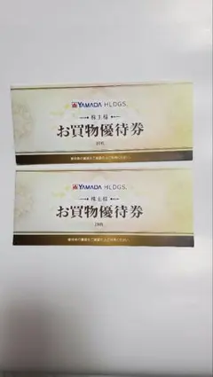 ヤマダ電機　お買物優待券　20枚　10000円分