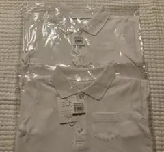 Item thumbnail for item 3a316b1a-0d74-4035-af9f-8407c818ddc0