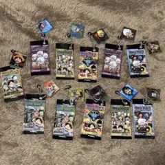 にふぉるめーしょん ワンピース大海賊シールウエハース ミニチュアチャーム　ガチャ