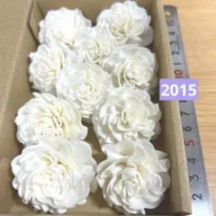 Item thumbnail for item e9392f4c-3c3b-4d25-a058-55373a8d6be9