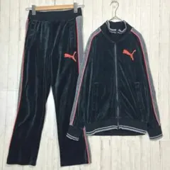 PUMA ベロア セットアップ 上下 XXL - メルカリ