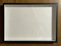 蝶の標本ペーパークラフトA2サイズ完成品