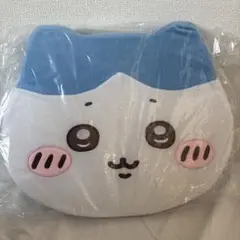 Item thumbnail for item a3e3ac01-0767-4397-bc66-0170e0db10a2