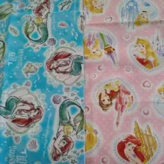 プリンセス　生地　ハンドメイド　入園　入学　絵本バッグ